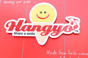 portfolio of sinage industry