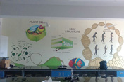 photos of wall design