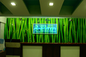 wallpaper design for shops