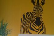 photos of wall design