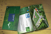portfolio of graphic design