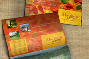 Portfolio of creative graphic design