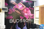 photoshoot for showrooms